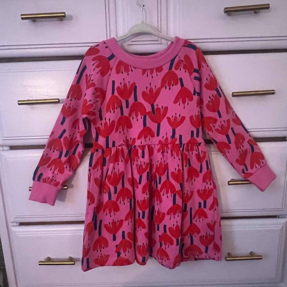 Hanna Andersson Sweatshirt dress